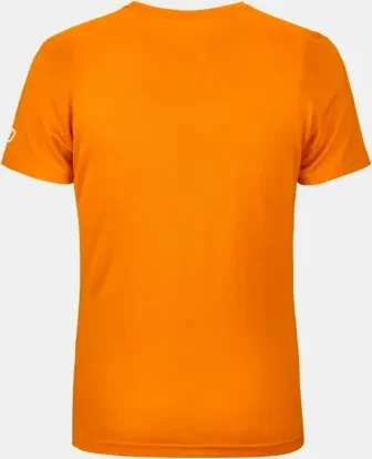 Ortovox 185 Merino Square Funktionsshirt kurzarm autumn leaves (Damen)
