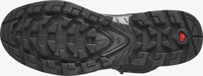 Salomon Quest 4 GTX magnet/black/quarry (Herren)