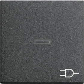 Gira System 55 Wippe mit Kontrollfenster und Symbol Steckdose, anthrazit