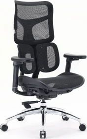 Sihoo Doro S100 Ergonomischer Bürostuhl, schwarz