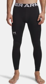Under Armour ColdGear Armour Leggings Hose lang schwarz/weiß (Herren)