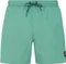 Protest Faster Badeshorts (Herren) Vorschaubild