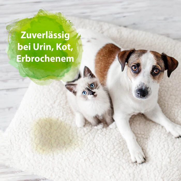 Ardap - Bactador Geruchs- und Fleckenentferner, 750ml