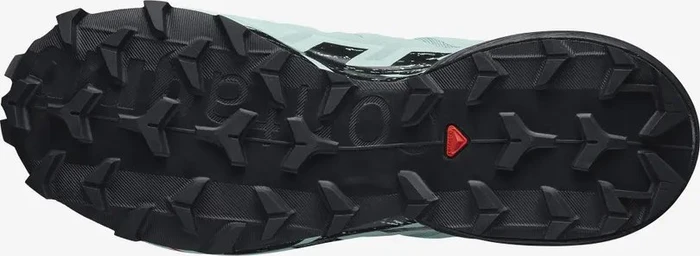 Salomon Speedcross 6 Gore-Tex aquifer/black/yucca (Damen)