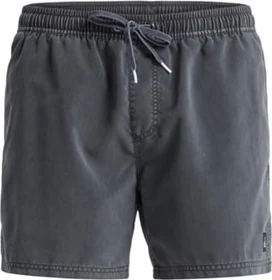 Quiksilver Everyday Surfwash 15" Badeshorts schwarz (Herren)