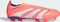 adidas Predator League Laceless MG signal coral/cloud white/beam orange Vorschaubild