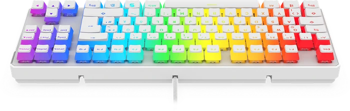 Endorfy SilentiumPC SPC Gear GK630K, PBT, LEDs RGB, Onyx White Tournament, Kailh BROWN, USB, DE