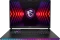 MSI Raider GE78 HX 14VGG-231, Core Black, Core i9-14900HX, 32GB RAM, 2TB SSD, GeForce RTX 4070, DE Vorschaubild