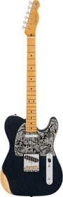 Fender Brad Paisley Road Worn Telecaster