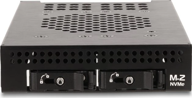 DeLOCK 3.5" Wechselrahmen 2x M.2 NVME SSD