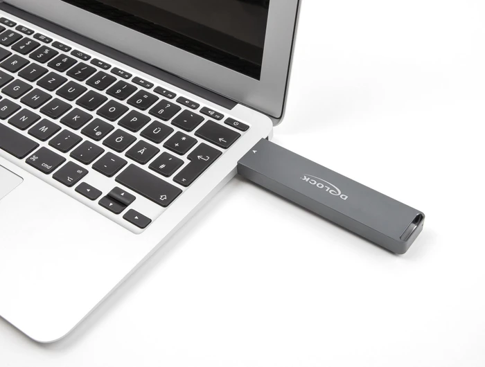 DeLOCK Externes Gehäuse für M.2 PCIe/SATA SSD, USB-A 3.1