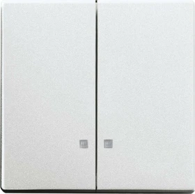 Busch-Jaeger Future Linear Wippe, alusilber