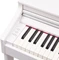 Roland RP701 weiß matt Vorschaubild