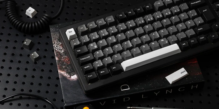 Akko MOD 007B HE, Black & Silver, LEDs RGB, hot-swap, Cream Yellow Magnetic, USB/Bluetooth, DE