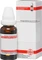 DHU Flor De Piedra Dilution, 20ml Vorschaubild