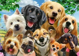 Schmidt Spiele Hunde-Selfie