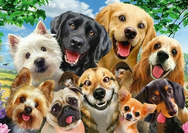 Schmidt Spiele Hunde-Selfie