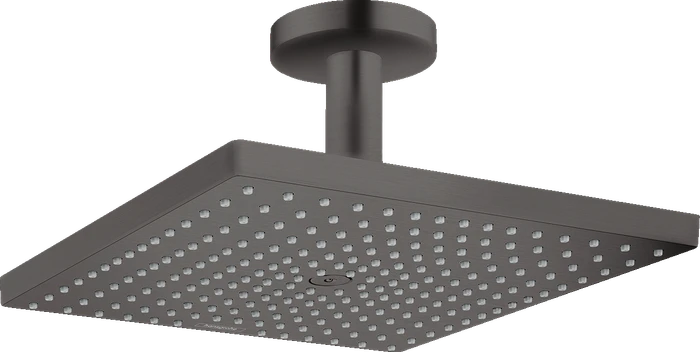Hansgrohe Raindance Kopfbrause E 300 1jet