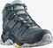 Salomon X Ultra 4 Mid GTX stargazer/carbon/stone blue (Damen) Vorschaubild