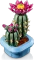 LEGO Botanicals - Blühender Kaktus Vorschaubild