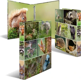 Herma 4D Ringbuch 4-Ring, 30mm, A4, Motiv Waldtiere