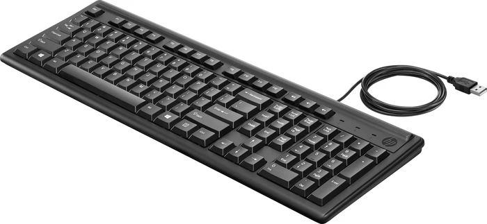 HP Tastatur 100, schwarz, USB, FR