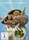 Vaiana (DVD)