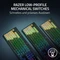 Razer BlackWidow V4 Low-Profile HyperSpeed, Razer Low-Profile ORANGE Tactile, USB/Bluetooth, UK Vorschaubild