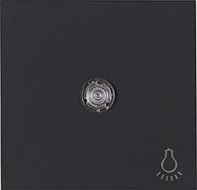 Kopp HK07 Flächenwippe mit Linse und Symbol Licht, anthrazit