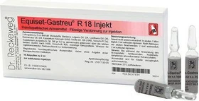 Dr. Reckeweg Equiset-Gastreu R18 Injekt Ampullen, 10 Stück