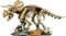 LEGO Jurassic World - Dinosaurier-Fossilien: Triceratops Vorschaubild