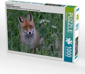 Calvendo Ein Motiv aus dem Kalender Wildlife Impressionen