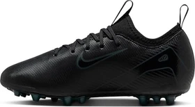 Nike Mercurial Vapor 16 Academy AG Low-Top black/deep jungle (Junior)