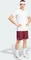 adidas Club Tennis Climacool Hose kurz maroon (Herren) Vorschaubild