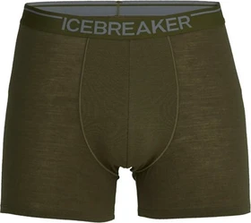 Icebreaker Anatomica Boxer Briefs loden (Herren)