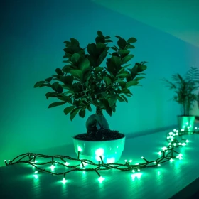Twinkly Strings Multi Color Lichterkette LED 250x RGB