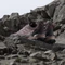 adidas Terrex AX4 GTX burgundy/preloved fig/warm clay (Damen) Vorschaubild