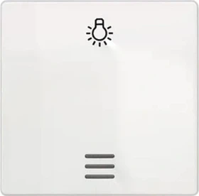 Siemens DELTA i-system Wippe mit Symbol Licht für Taster, titanweiß