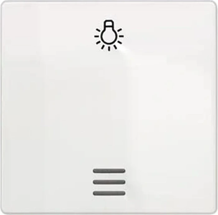 Siemens DELTA i-system Wippe mit Symbol Licht für Taster, titanweiß