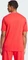 adidas Essentials Big Logo T-Shirt kurzarm pure ruby/black (Herren) Vorschaubild