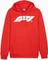 Puma F1 ESS Motorsport Hoodie pop red (Herren) Vorschaubild