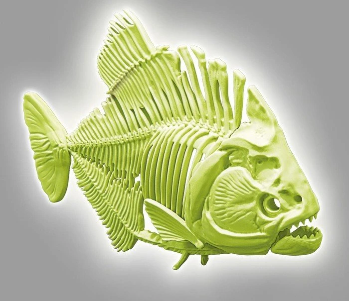 Clementoni Galileo Ausgrabungsset Prähistorischer Piranha fluoreszierend