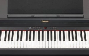Roland RP301 Rosenholz
