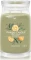 Yankee Candle Sage & Citrus Duftkerze Vorschaubild