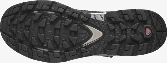 Salomon Quest Element GTX cumin/bleached sand/saffron (Herren)
