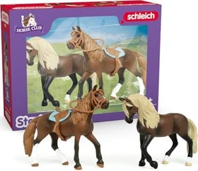 Schleich Horse Club - Paso Peruano Starter-Set