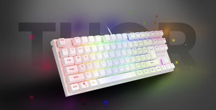 Genesis Thor 303 TKL silent, weiß, LEDs RGB, hot-swap, Gaote Outemu SILENT PEACH, USB, US