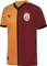 Puma Galatasaray SK 2024/2025 Heimtrikot kurzarm (Herren) Vorschaubild