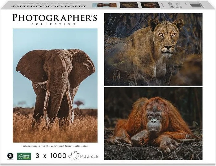 Ambassador Photographers Collection Wildtiere Blickkontakt