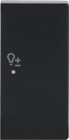 Busch-Jaeger Wippe 2-fach rechts mit Symbol "Dimmer", anthrazit